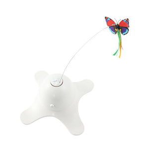 Discover the Joy of Play with the Automatic Rotating Circle Puzzle Cat Toy