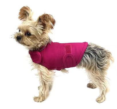 Comfort and Calm: The Ultimate Pet Soothing Clothes for Dogs