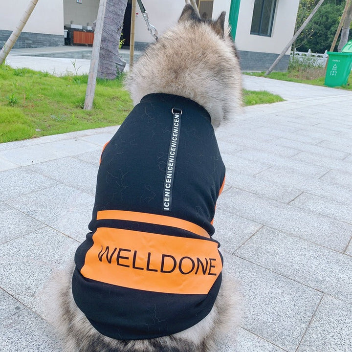 Why Your Pet Deserves the Pet Fashion Without Hat Sweater Clothes