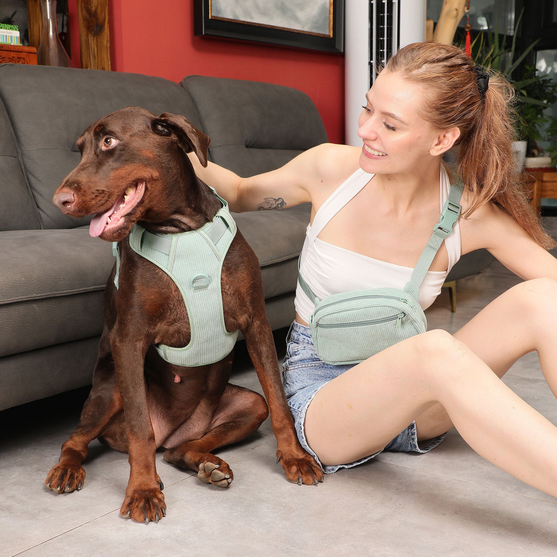 Ensure Safety and Style with Our Explosion-Proof Dog Vest