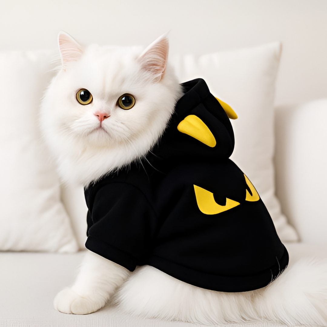 Stylish and Comfortable Clothing for Pets