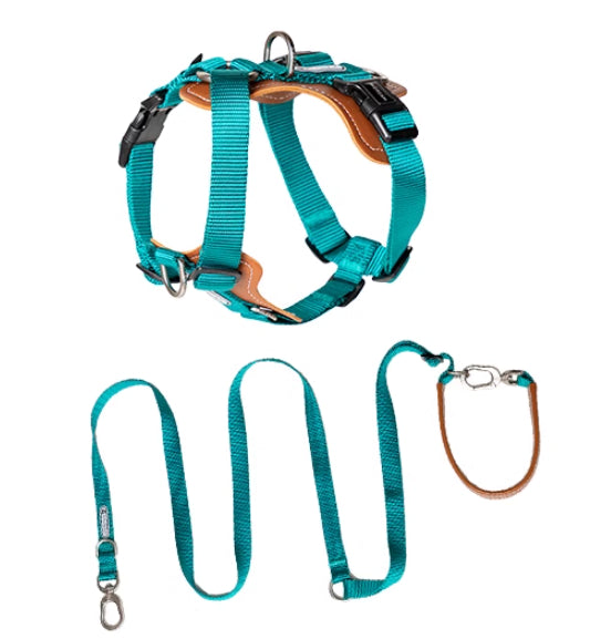 Experience Ultimate Control with the Explosion-proof Dog Leash Chest Strap