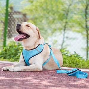 Elevate Your Dog's Style with Our Pet Dog Leash Harness With Bow