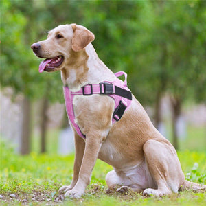 Dog Vest Chest Strap Leash – The Ultimate Dog Walking Companion