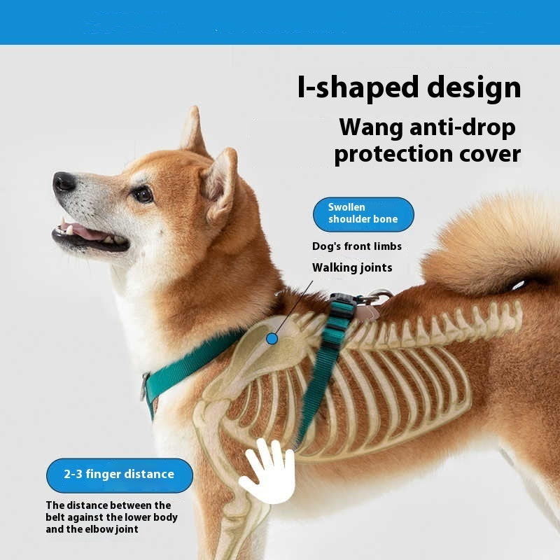 Explosion-proof Dog Leash Chest Strap