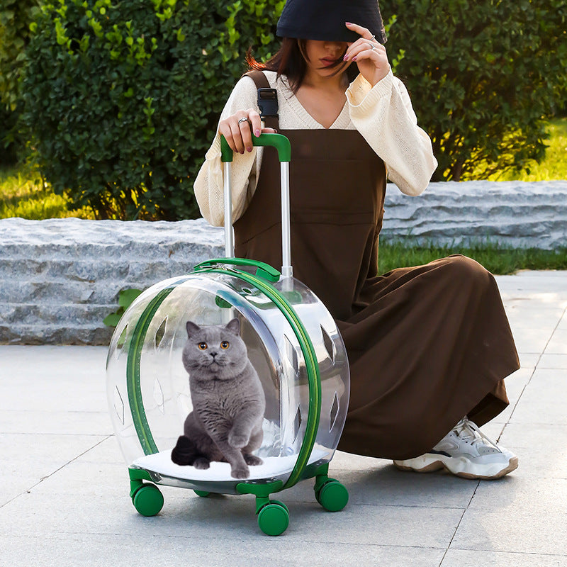 Pet Trolley Bag Portable Out Transparent