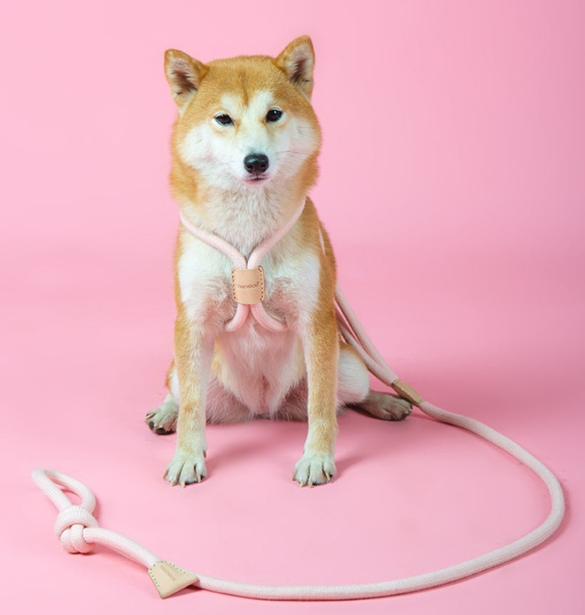 Pet Dual-purpose Round Rope Dog Leash