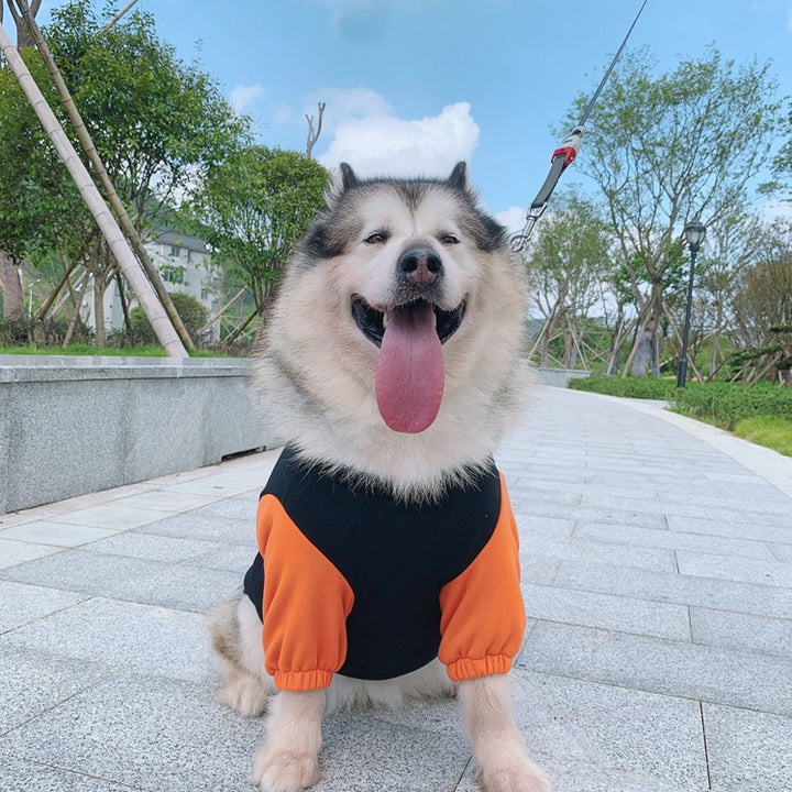 Pet Fashion Without Hat Sweater Clothes