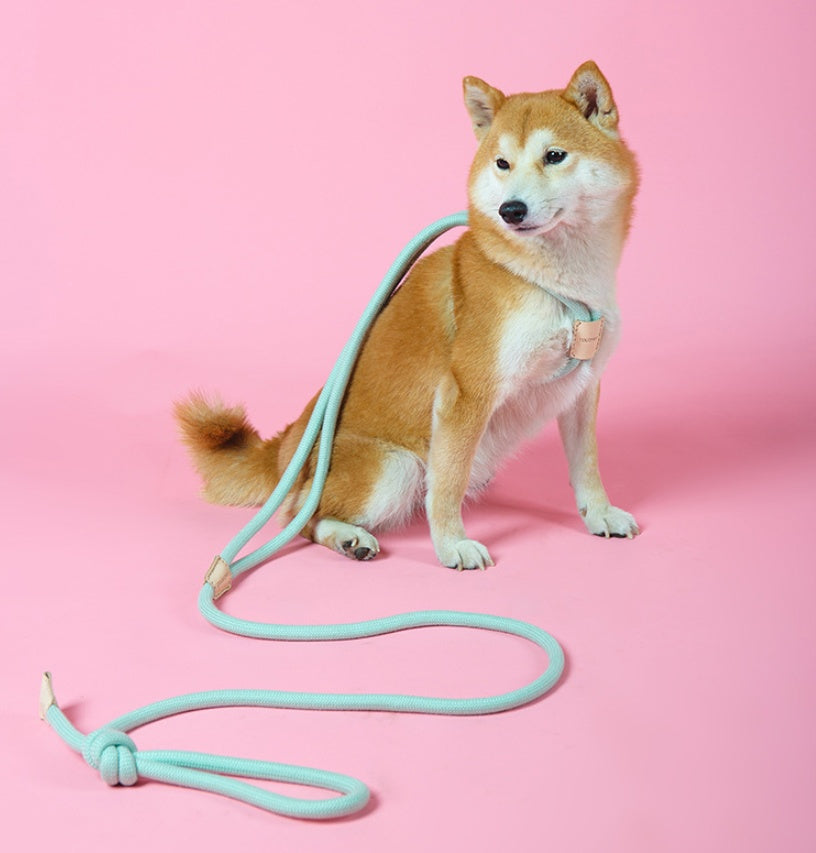 Pet Dual-purpose Round Rope Dog Leash