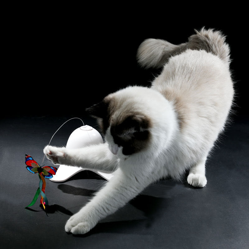 Automatic Rotating Circle Puzzle Cat Toy