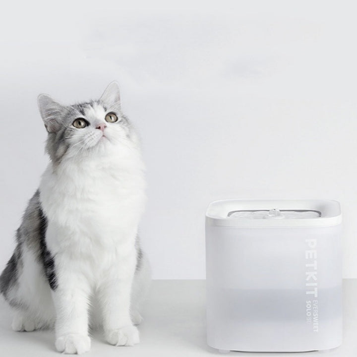 Wireless Loop Filter Pet Water Bowl