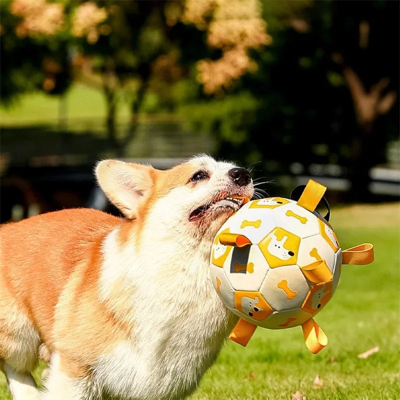 Dog Interactive Football Toys Children Soccer