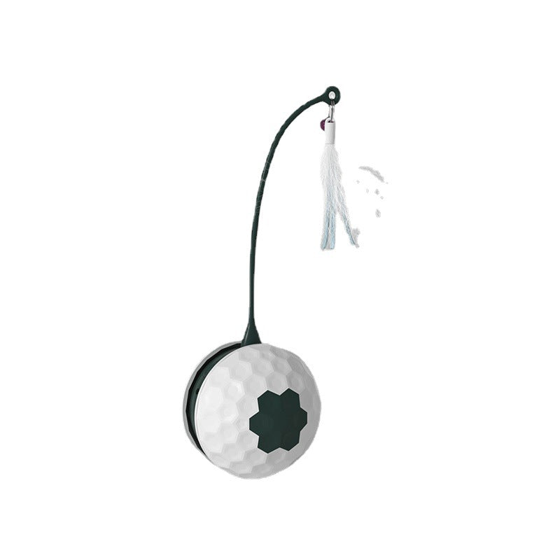 Intelligent Bite Resistant Cat Toys Pet Products