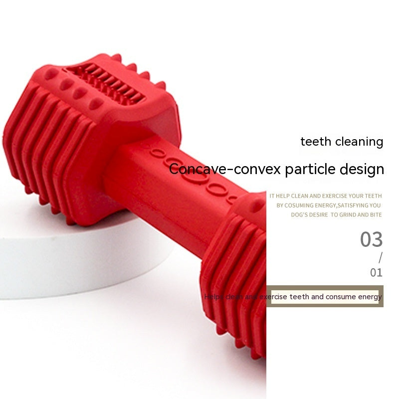 Molar Long Lasting Food Leakage Toy