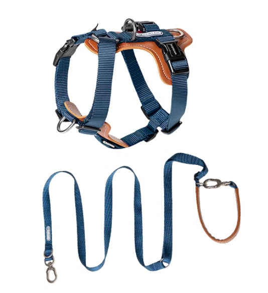 Explosion-proof Dog Leash Chest Strap