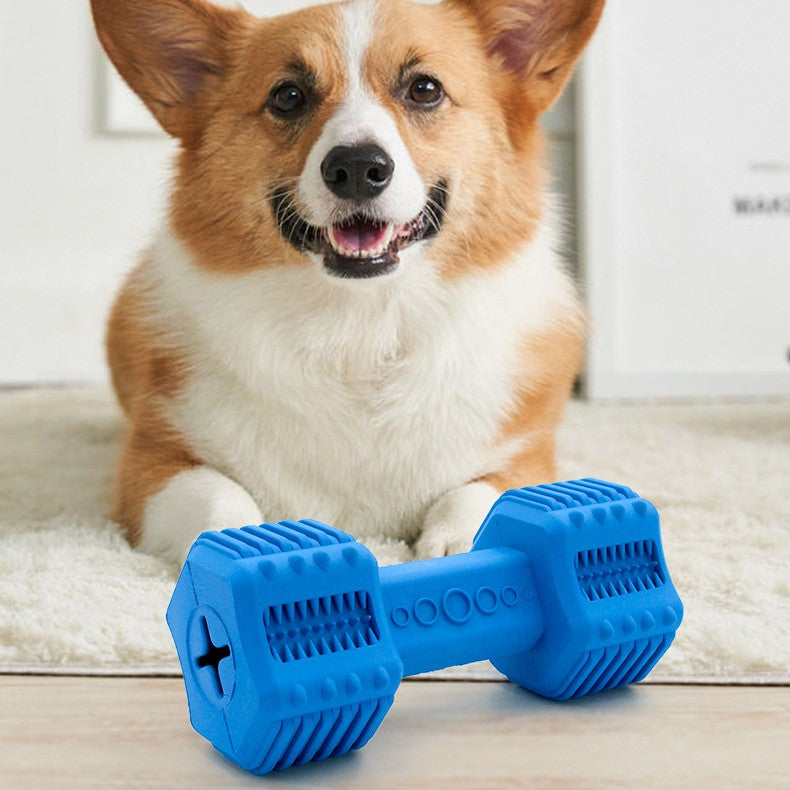 Molar Long Lasting Food Leakage Toy