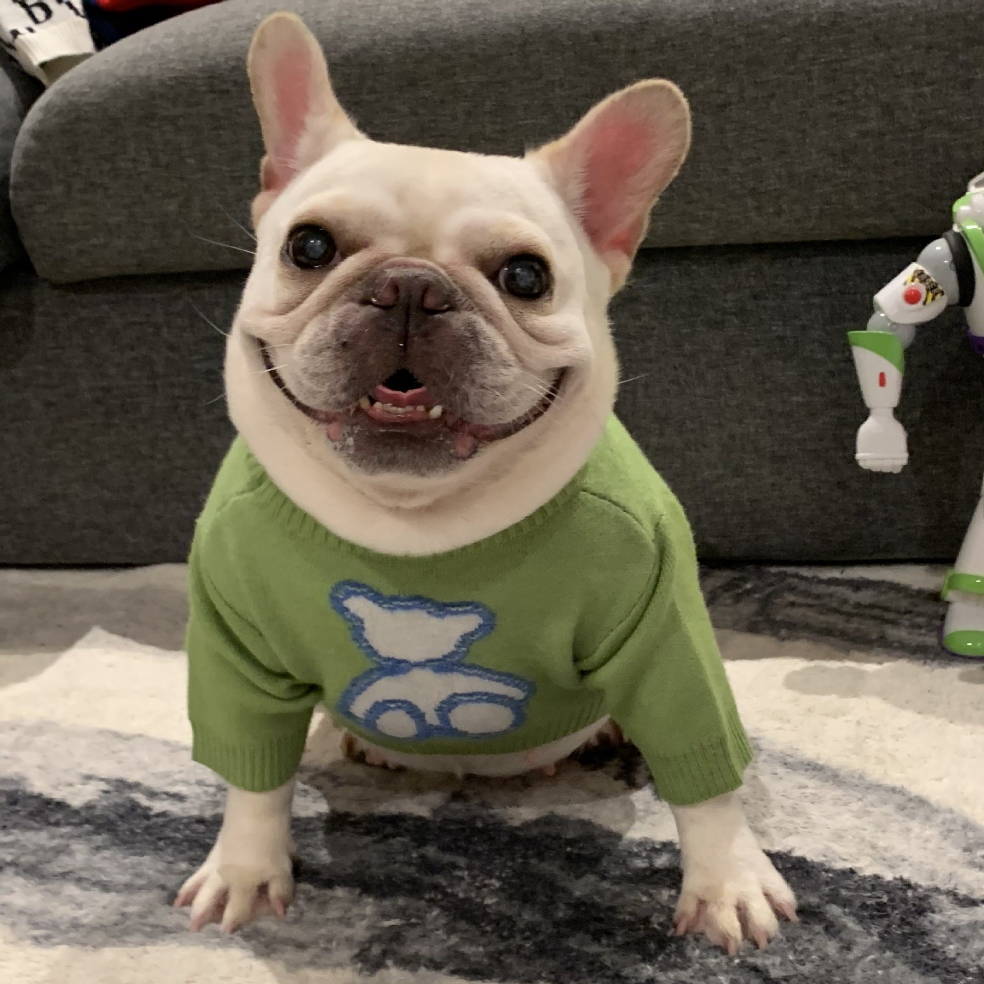 Pet Clothes Dog Cat Puppy Fall Winter