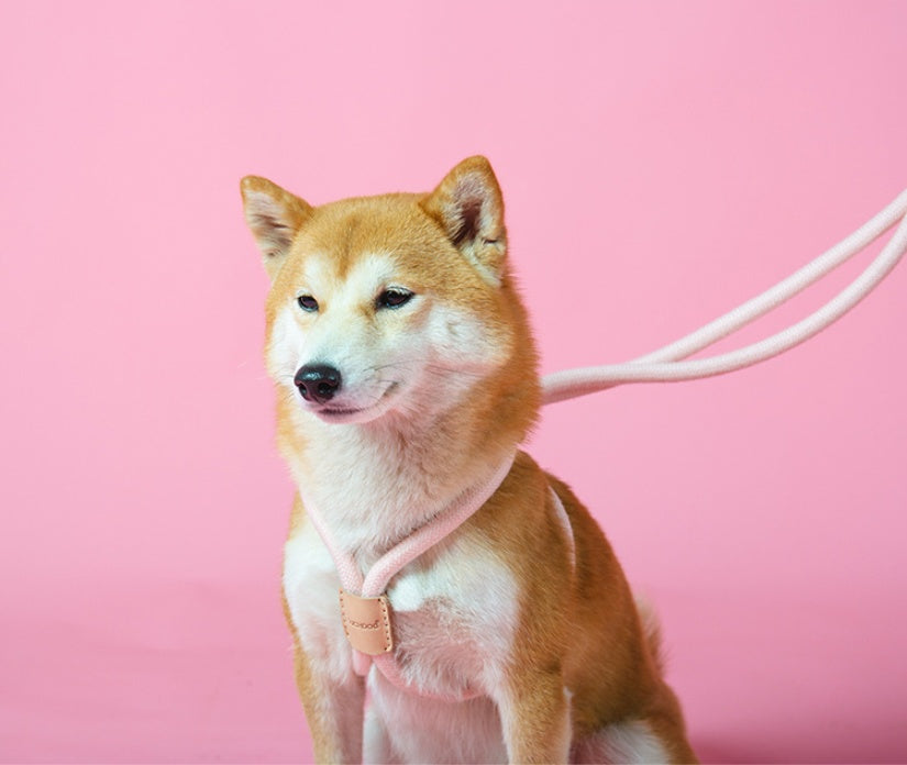 Pet Dual-purpose Round Rope Dog Leash
