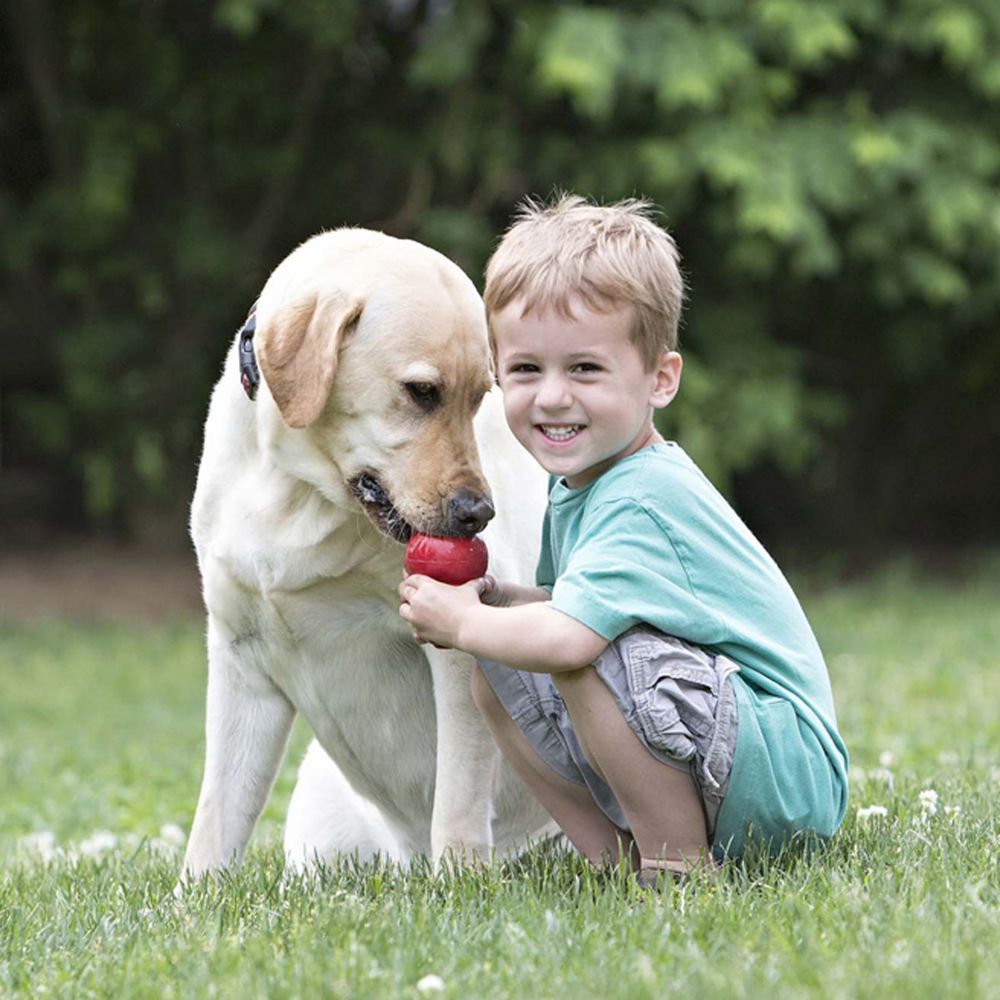Food Leakage Rubber Dog Toy