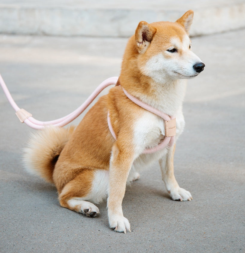 Pet Dual-purpose Round Rope Dog Leash