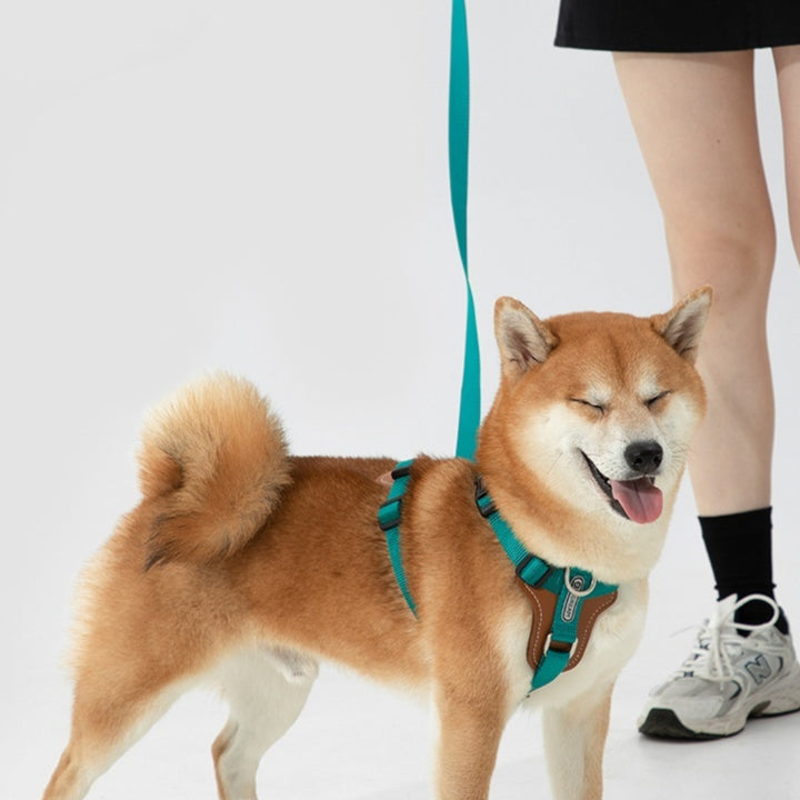Explosion-proof Dog Leash Chest Strap