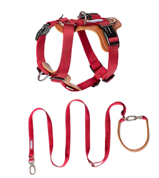Explosion-proof Dog Leash Chest Strap