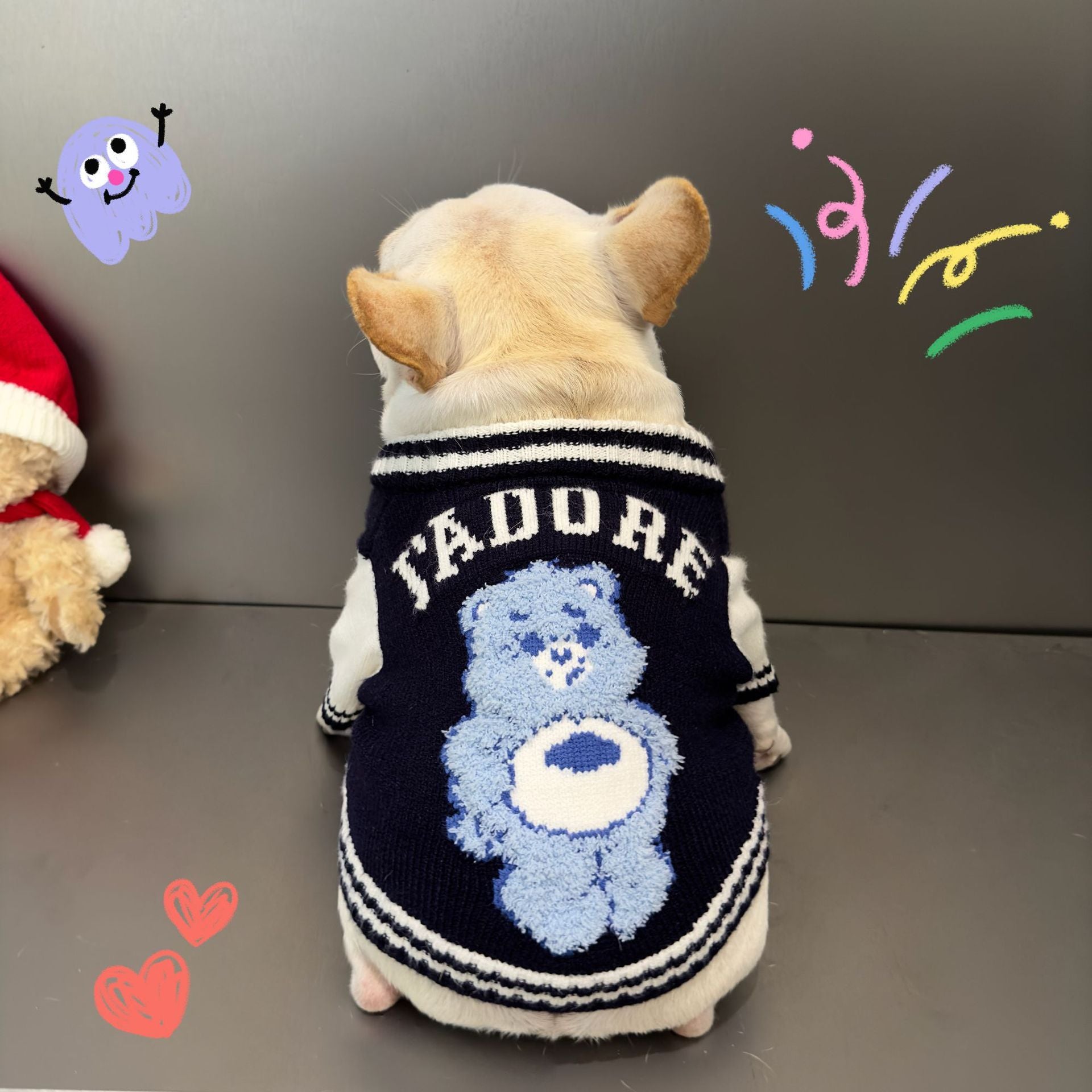 Kitten Rainbow Bear Pet Sweater
