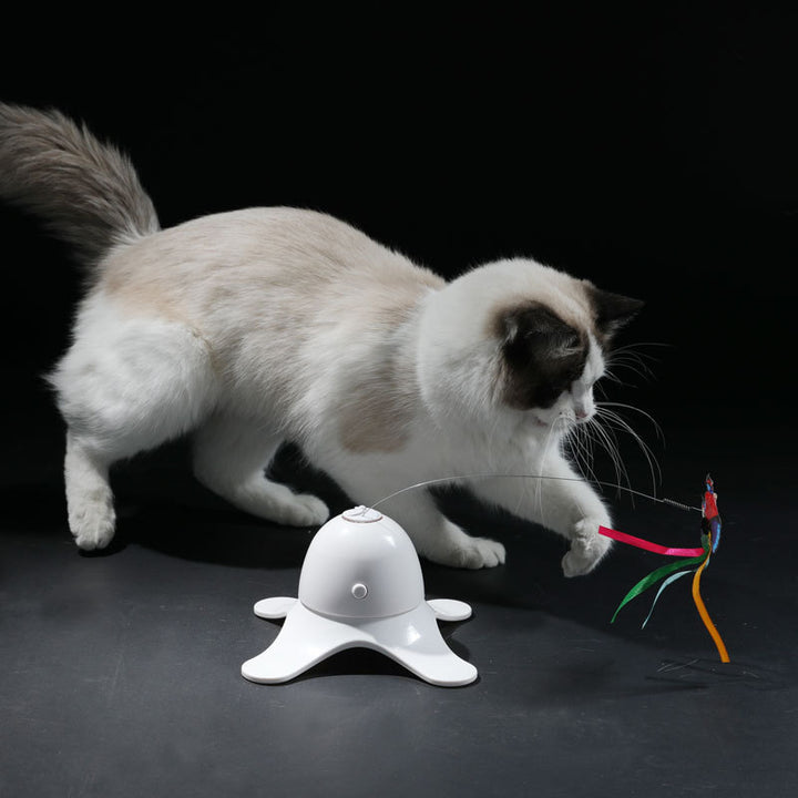 Automatic Rotating Circle Puzzle Cat Toy