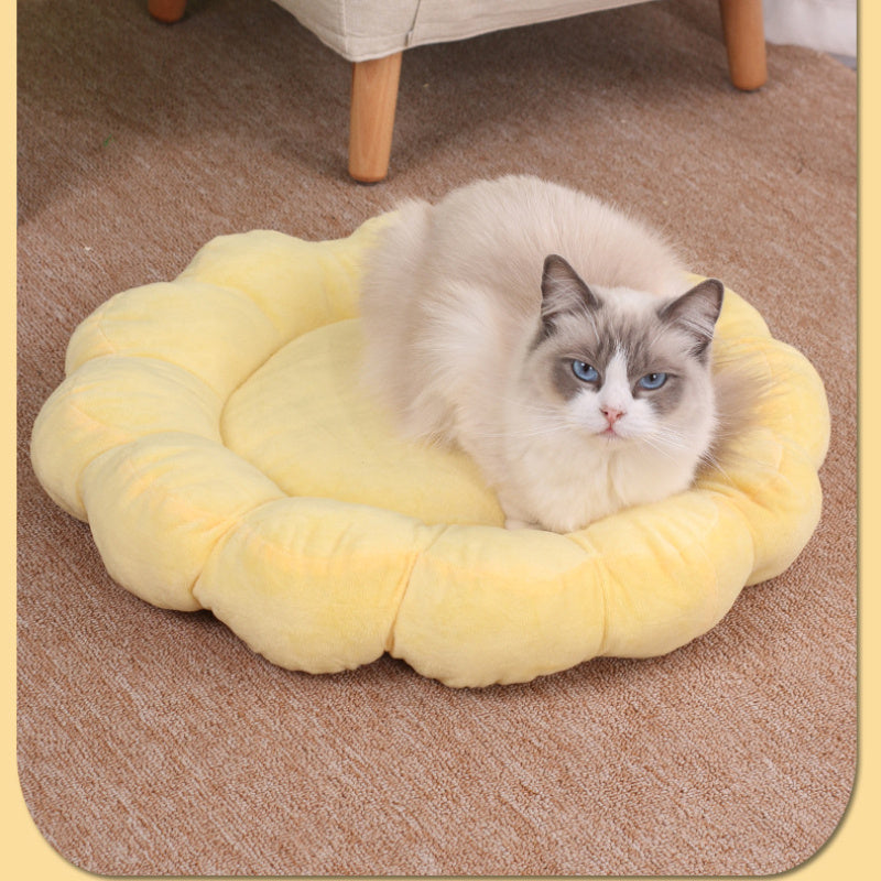 50x50cm Multi Color Petal Cat Nest