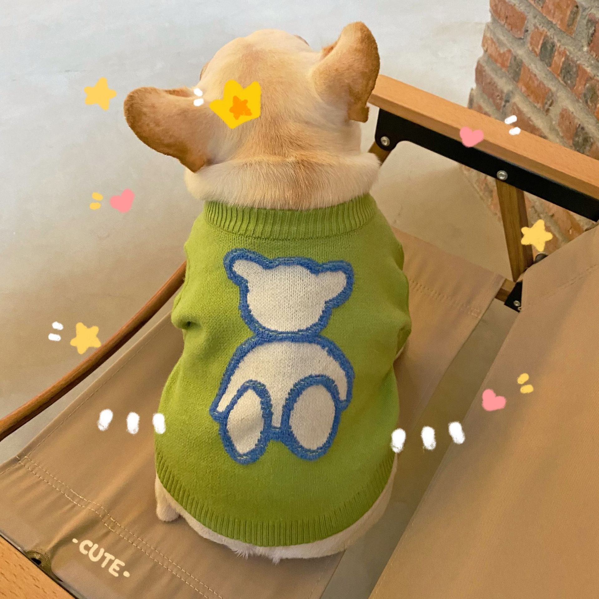 Pet Clothes Dog Cat Puppy Fall Winter