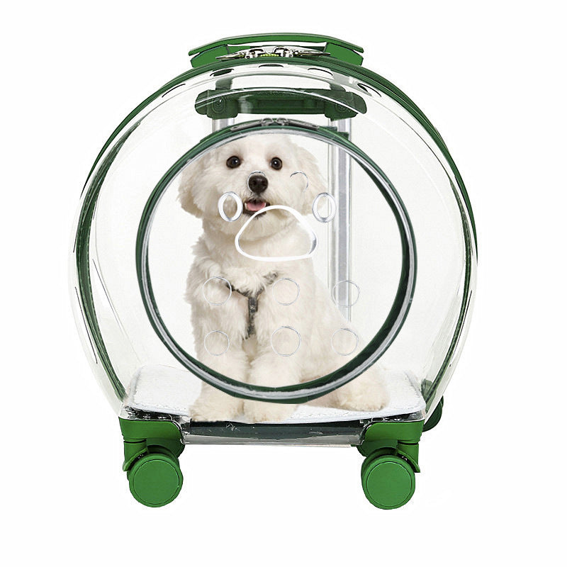 Pet Trolley Bag Portable Out Transparent