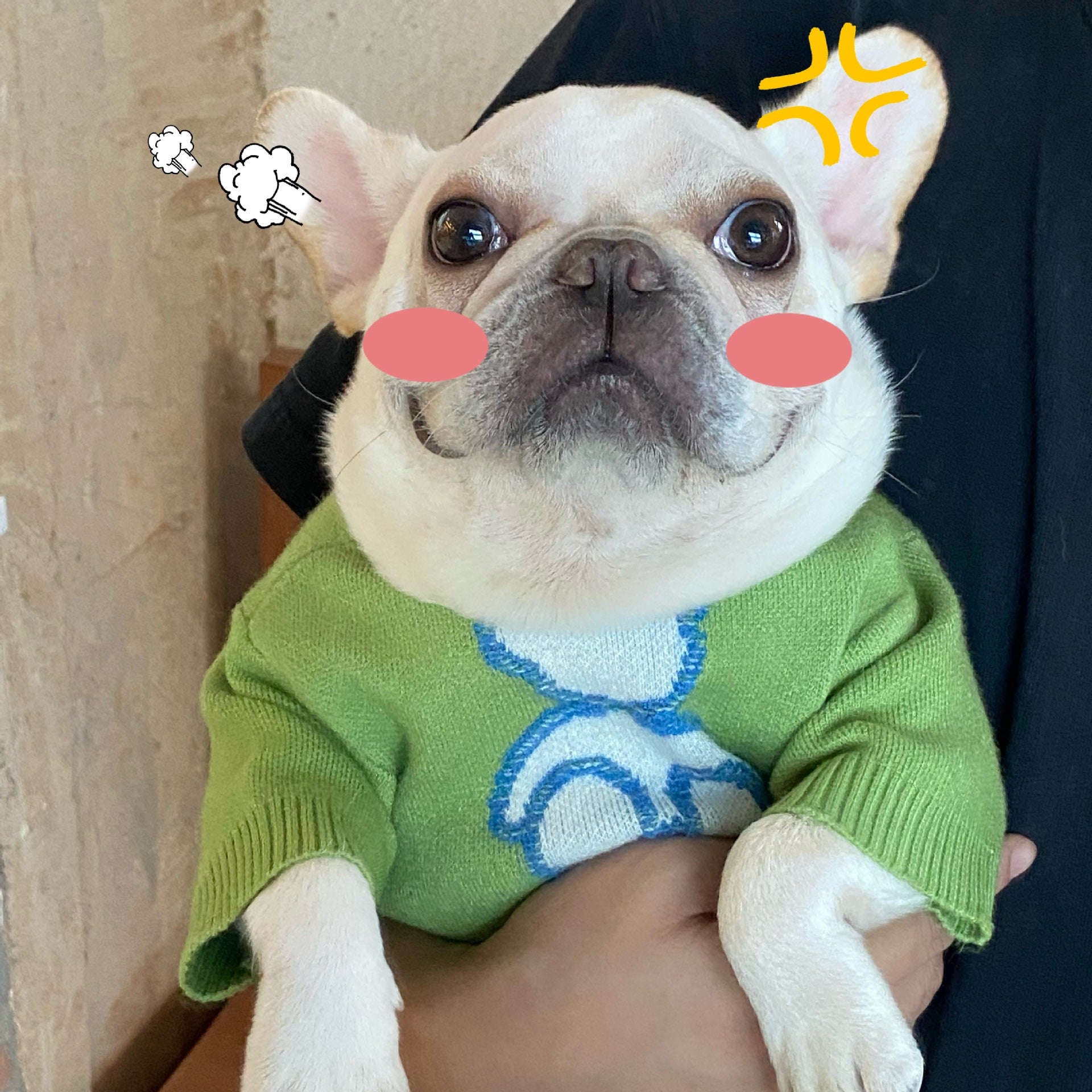 Pet Clothes Dog Cat Puppy Fall Winter