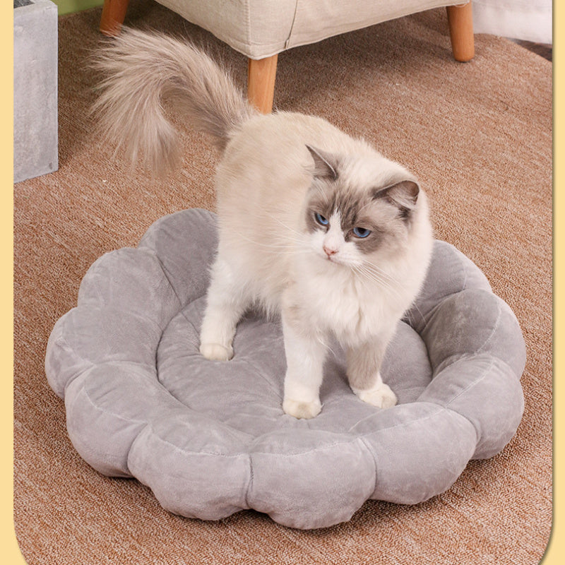 50x50cm Multi Color Petal Cat Nest