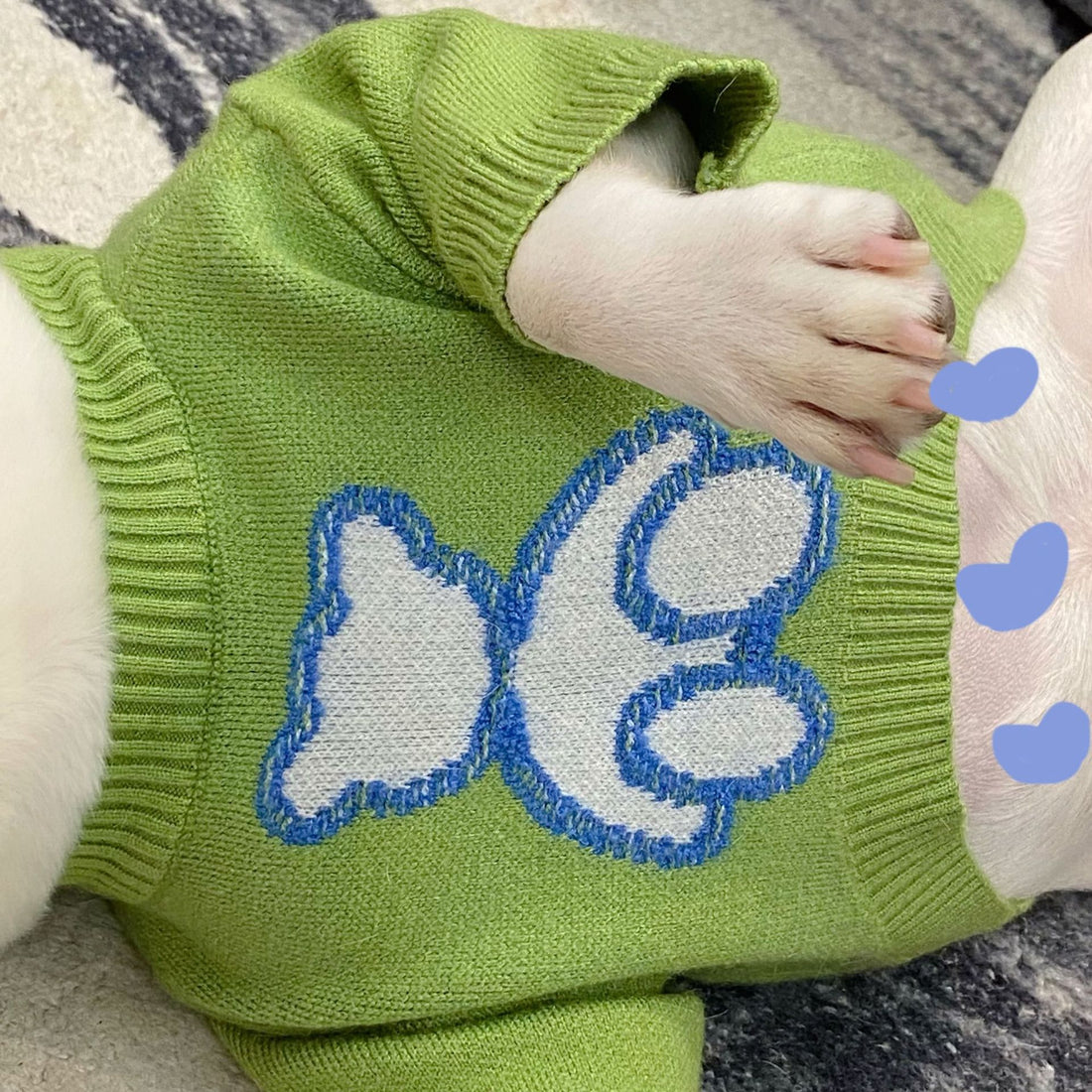 Pet Clothes Dog Cat Puppy Fall Winter