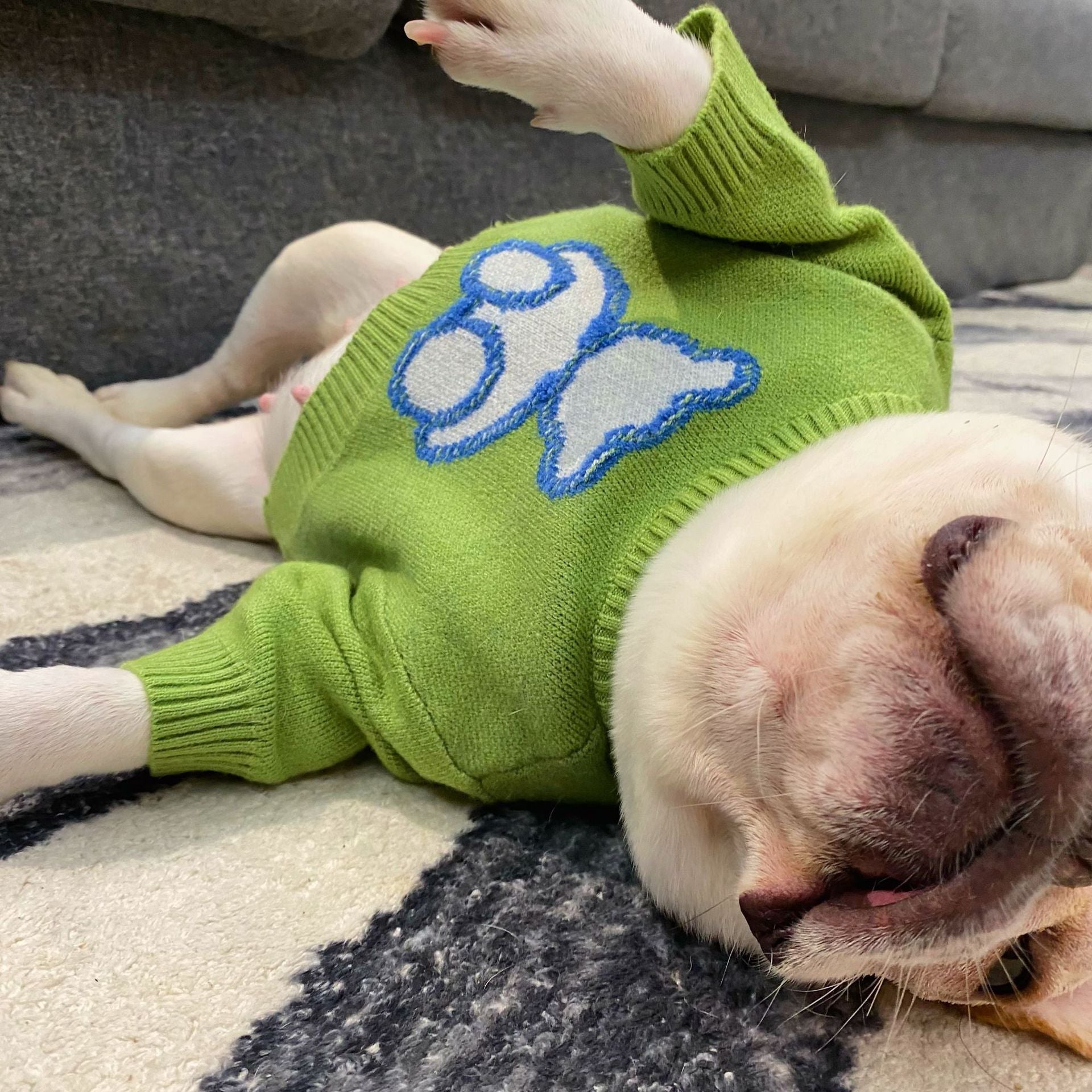 Pet Clothes Dog Cat Puppy Fall Winter
