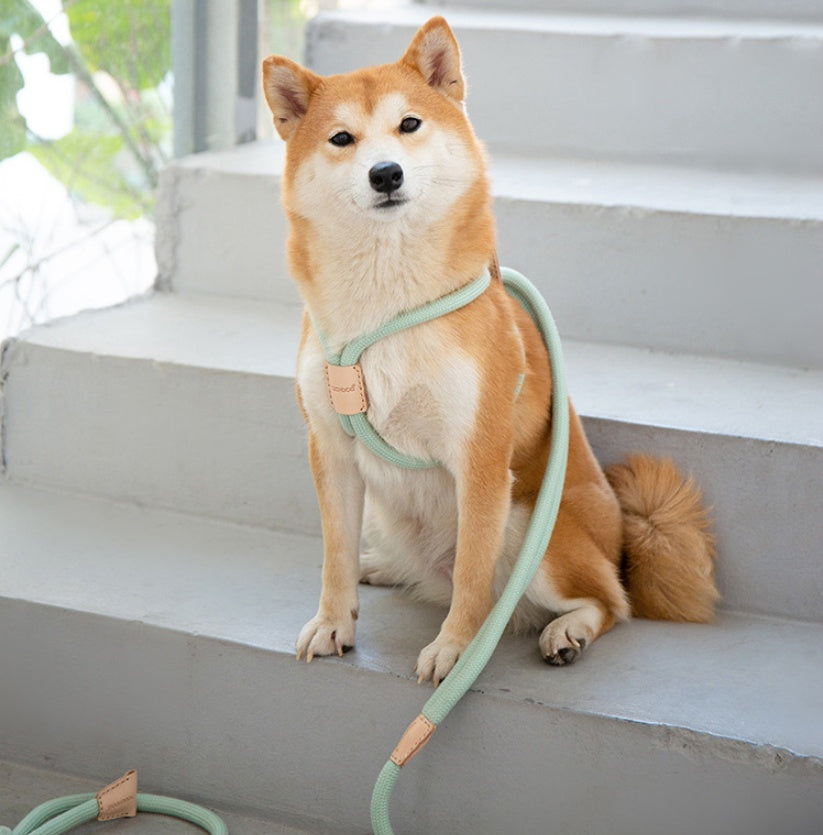 Pet Dual-purpose Round Rope Dog Leash