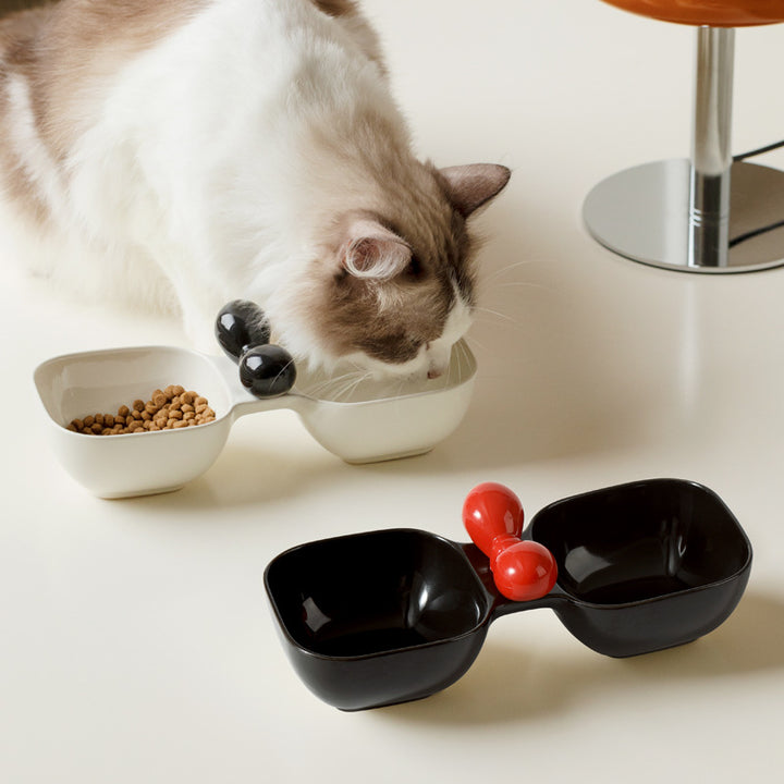 Ceramic Dog Bowl